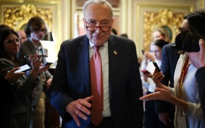 Schumer announces that he will vote to maintain the open government, probably avoiding closure