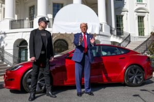 Tesla earnings to show if the anti-mudgo reaction damaged the final result damaged